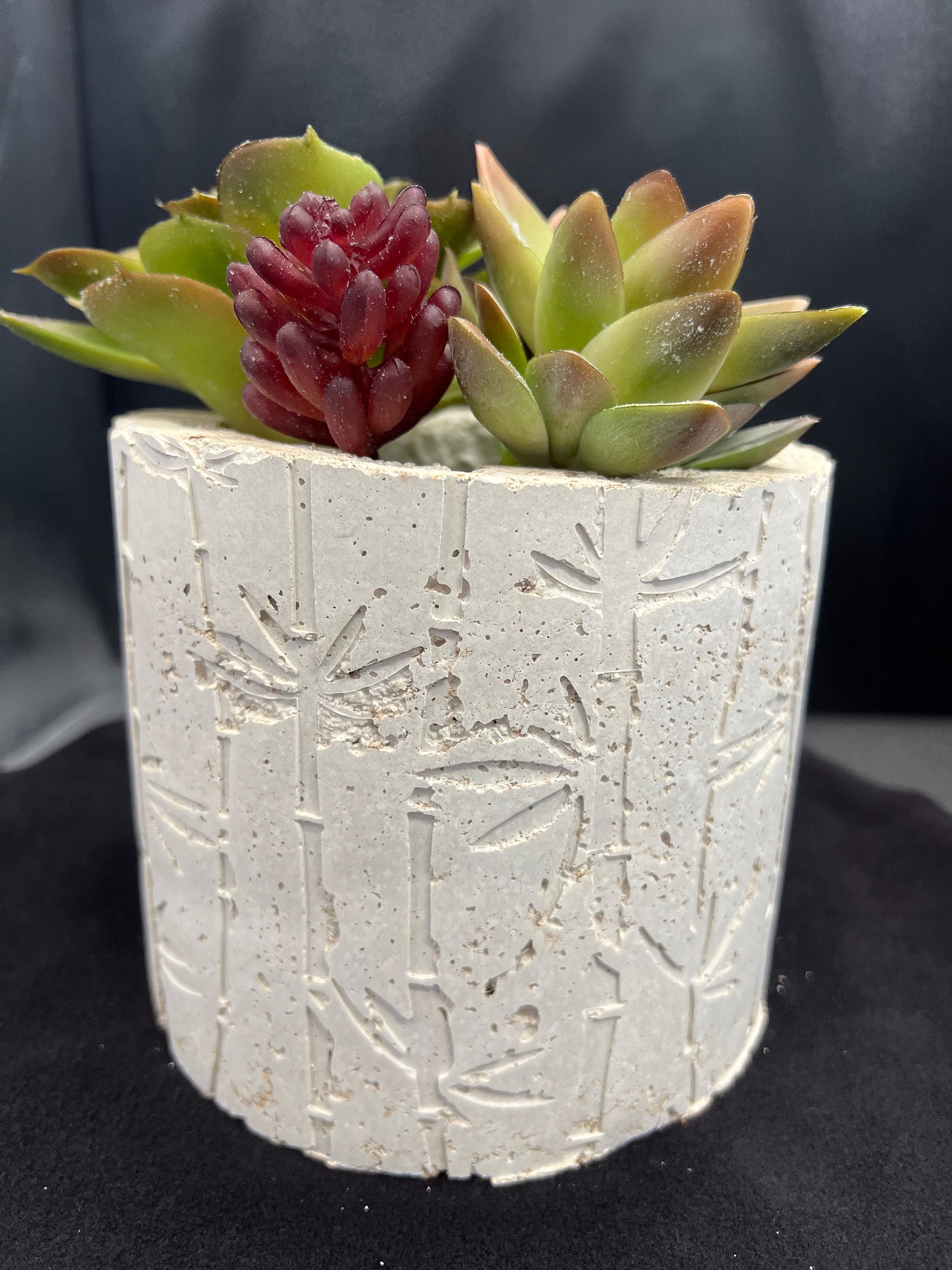 Garden Planter with a Beachy Vibe. Great for Succulents!!