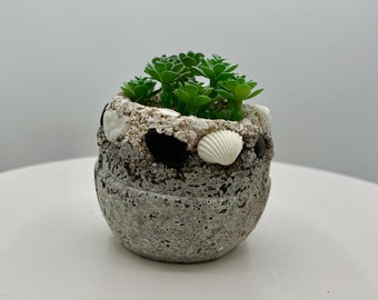 Garden Planter with a Beachy Vibe. Great for Succulents!!