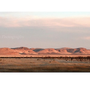 Southwest New Mexico #1