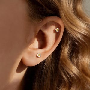 Tiny Titan Daisy Blume fadenlos Druck Pin Ohrstecker, Helix Conch Tragus Piercing