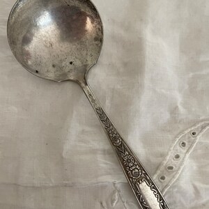 May include: A silver serving ladle with a floral design on the handle. The ladle has a rounded bowl and a long, slender handle.