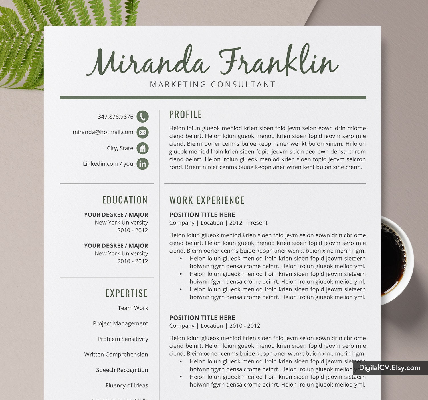 Simple Cv Template Basic Cv Template Professional Resume Etsy