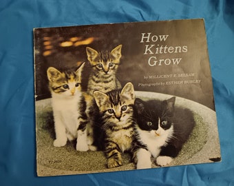 Comment les chatons grandissent - par Millicent E. Selsam - photos noir et blanc - livre pour enfants vintage des années 1970