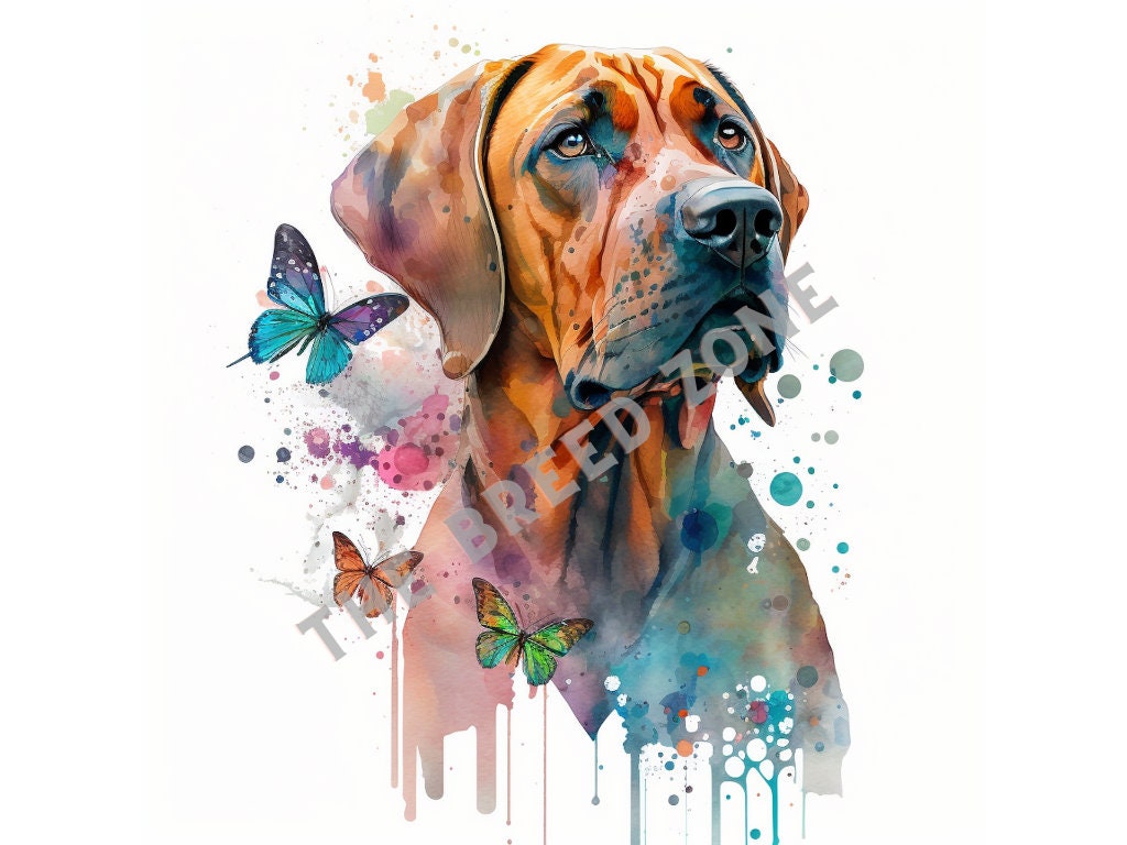 Rhodesian Ridgeback Watercolor Digital Art, Rhodesian Ridgeback Clipart ...