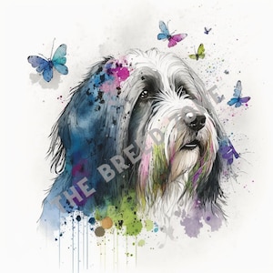 Bearded Collie Aquarell digitale Kunst, Bearded Collie Clipart, Hund Wandkunst, PNG Bild