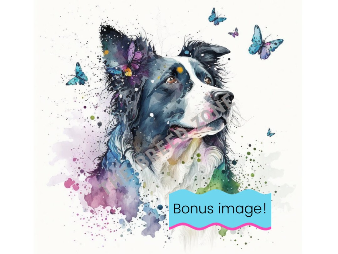 Border Collie Watercolor Digital Art, Border Collie Clipart, Dog Wall ...