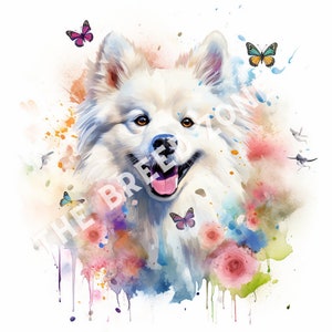 American Eskimo Watercolor Digital Art, American Eskimo Clipart, Dog Wall Art, PNG Image