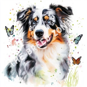 Australian Shepherd Watercolor Digital Art, Australian Shepherd Clipart, Dog Wall Art, PNG Image