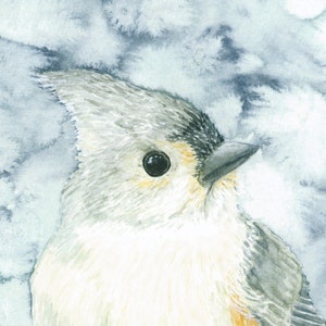 Tufted Titmouse, bird, watercolor