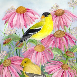 Garden Jewels Card, Audubon series, goldfinch, bird, floral, garden, flowers, coneflower, echinacea