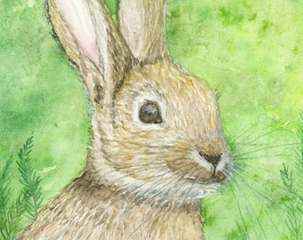 Bunny with Violets, rabbit, bunny, art print, nature