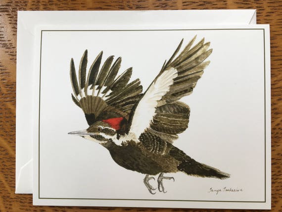 Woodland hotsell woodpecker shoes