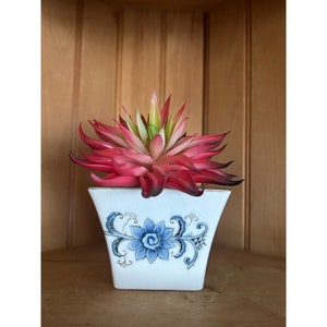 Puede incluir: Una maceta de cerámica blanca decorada con un diseño floral azul, que contiene una suculenta roja y verde vibrante. La maceta tiene forma cuadrada con la parte superior ligeramente ensanchada y ribete dorado. La suculenta añade un toque de color.