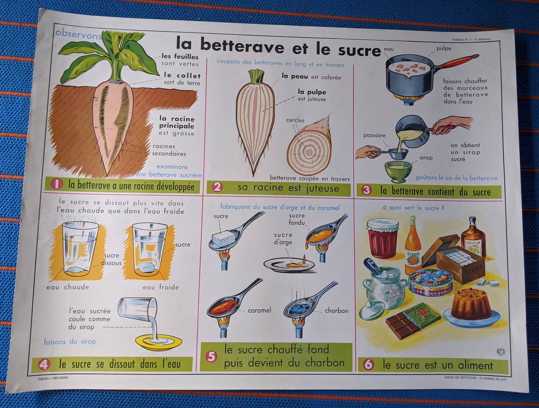 Vintage French educational posters double sided Etsy