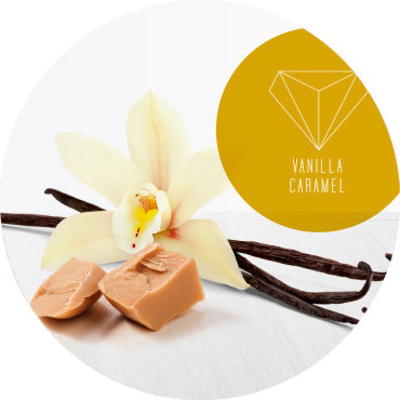 ваниль на белом фоне. включи ваниль. веточка ванили. включи ваниль. включи ваниль.