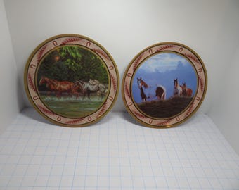 F 07 Vintage 1990's Wild Wings Chris Cummings Set Of (2) Hard Ceramic Plates