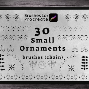 May include: A digital tablet screen showing a set of 30 small ornament brushes for the Procreate app. The brushes are black and white and are arranged in rows. The text "Brushes for Procreate" and "30 Small Ornaments brushes (chain)" is displayed on the screen.