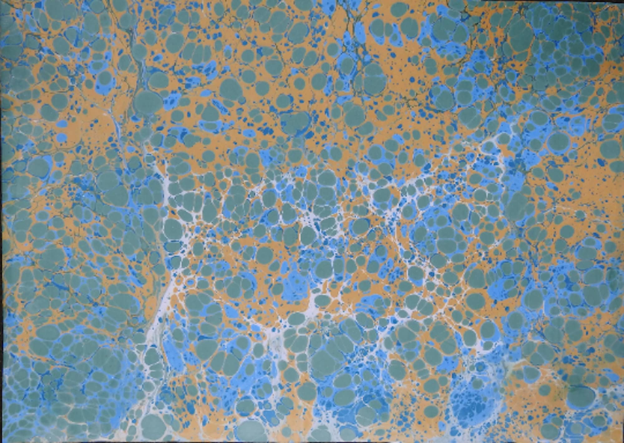 703736_8