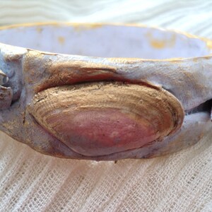 Peut inclure: Un bracelet en céramique blanc et or avec des coquillages incrustés dans la surface. Les coquillages sont peints avec des accents dorés et roses.