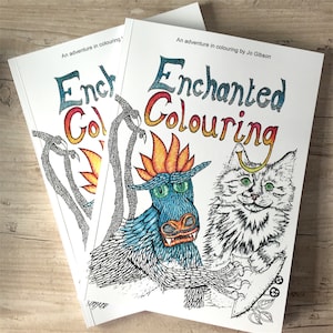 K&ouml;nnte beinhalten: Zwei Malb&uuml;cher mit dem Titel "Enchanted Colouring" mit einem Abenteuer im Ausmalen von Jo Gibson. Der Einband des einen Buches zeigt eine Schwarzwei&szlig;illustration einer Katze und einer Fabelwesen mit einer Flammenkrone. Der Einband des anderen Buches zeigt eine Schwarzwei&szlig;illustration einer Fabelwesen mit einer Flammenkrone.