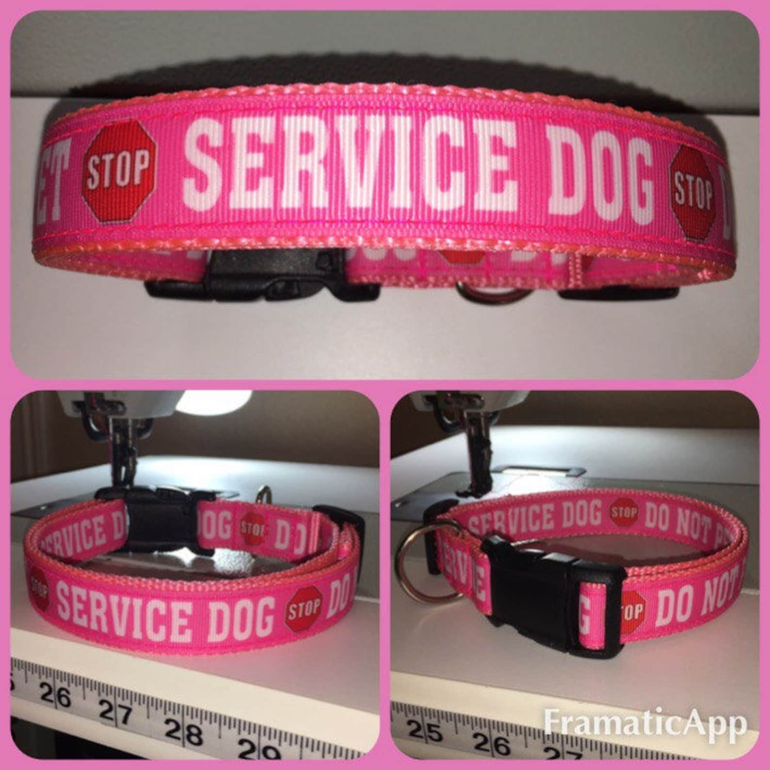 Service Dog Do Not Pet Collar Custommade to Order in Your Etsy