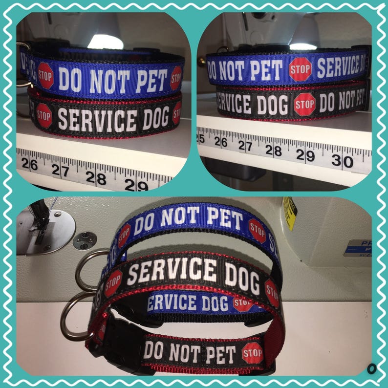 Service Dog Do Not Pet Collar Custommade to Order in Your Etsy