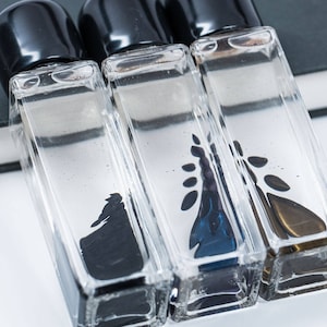Ferrofluid | Motion Magnetic Liquid Bottle Display by Concept Zero