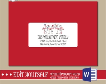 EDITABLE Christmas ADDRESS LABEL Template,2x4 Address Label, Addressing,Christmas,Word,Mail Merge,Instant Download, Template