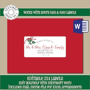 BEWERKBARE kerst ADRES LABEL sjabloon, 2x4 adreslabel, adressering, Kerstmis, Word, samenvoeging, Instant Download, sjabloon