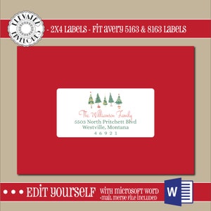 BEWERKBARE kerst ADRES LABEL sjabloon, 2x4 adreslabel, adressering, Kerstmis, Word, samenvoeging, Instant Download, sjabloon