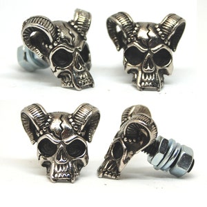 Ram skull License plate,custom bolts,windshield screw,biker,gift,present,Demon,horn,devil,silver,gold,motorcycle,chopper,badass,motorbike