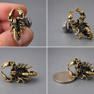 Könnte beinhalten: Ein messingfarbener Möbelknopf in Skorpionform mit detailliertem Exoskelett und erhobenen Scheren. Der Knopf verfügt über eine silberfarbene Metallschraube und Mutter auf der Rückseite zur Befestigung und ist neben einer Münze abgebildet.