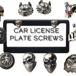 Tornillos y pernos para matrícula de coche personalizados Sujetadores de placa de marco personalizados