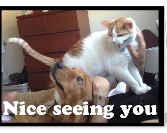 goofy animals etsy