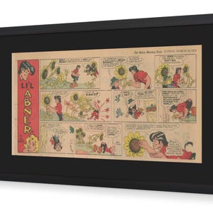 May include: Framed vintage comic strip art featuring the "Lil Abner" comic strip. The artwork is in a black frame and shows a series of panels with characters interacting with sunflowers. The comic strip is dated March 26, 1972.