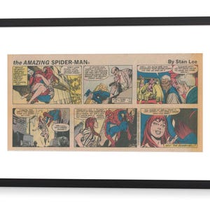 Può includere: Una pagina di fumetto di The Amazing Spider-Man con un personaggio di Spider-Man rosso e blu. La pagina del fumetto è divisa in sei pannelli. Il testo sulla pagina dice "The Amazing Spider-Man" e "By Stan Lee".