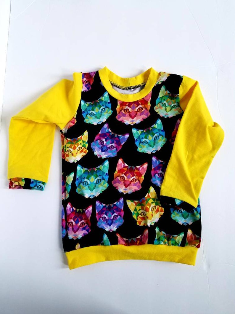 Colorful Cats Top For Boy Size 18-24 Months Ready To Ship Christmas Gift Rainbow Cats Long Sleeve Sweatshirt Cats Birthday Gift
