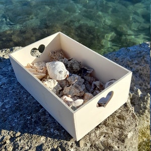 Discover the Adriatic 1 lb Bulk Beach Shells, Handpicked from the Sea, Perfect Croatian Souvenir image 2