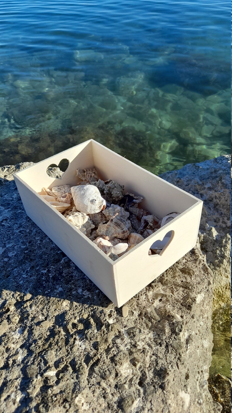 Discover the Adriatic 1 lb Bulk Beach Shells, Handpicked from the Sea, Perfect Croatian Souvenir image 2