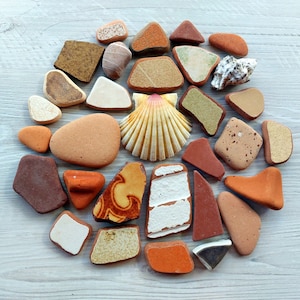 May include: A collection of seashells in various shapes, sizes, and colors, including a large scallop shell in the center. The shells are arranged in a circular pattern on a light wood background.