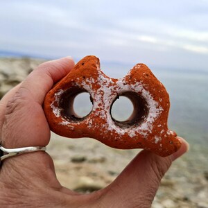 May include: A reddish-brown rock with two holes, resembling a face, covered in white salt deposits.