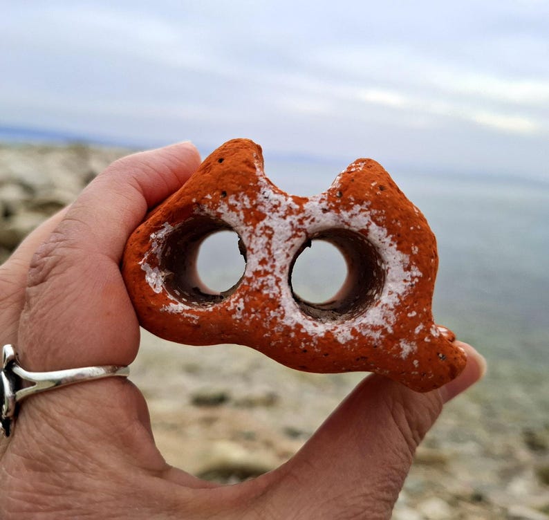 May include: A reddish-brown rock with two holes, resembling a face, covered in white salt deposits.