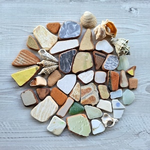 以下が含まれることがあります： 円形に配置されたシーグラスと貝殻のコレクション。シーグラスは、白、緑、茶色、青など、さまざまな形と色をしています。いくつかの貝殻も存在します。