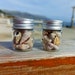 see more listings in the Sea shells section