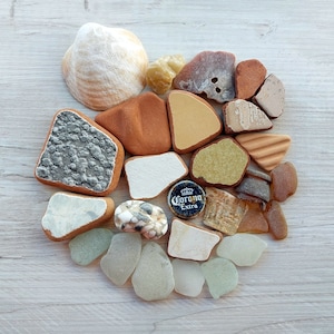 Op de afbeelding: Een verzameling zeeglas en schelpen in verschillende vormen, maten en kleuren, waaronder groen, blauw, wit en bruin. Een dop van een Corona Extra-fles is ook in de opstelling opgenomen.