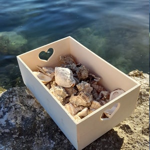 Discover the Adriatic 1 lb Bulk Beach Shells, Handpicked from the Sea, Perfect Croatian Souvenir image 3