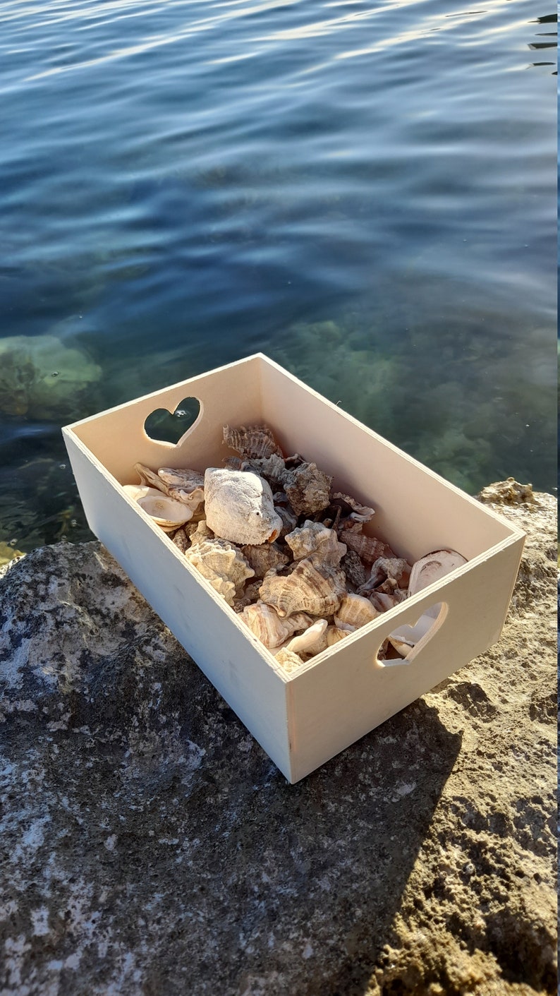Discover the Adriatic 1 lb Bulk Beach Shells, Handpicked from the Sea, Perfect Croatian Souvenir image 3