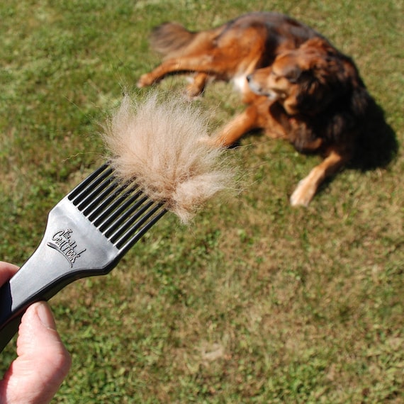 The Coathook Your New Favorite Pet Comb Etsy