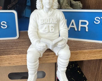 3D Printed Hockey Player Figurine: Off Campus Bookish Decor John Tucker shelf sitter