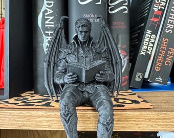 ACOTAR High Lord Fae Winged Reader Figurine – Fantasy Bookshelf shelf Sitter Reader